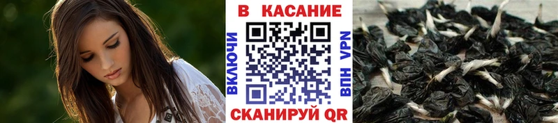 Наркошоп купить Конопля  Меф мяу мяу  A PVP  ГАШ  Старая Русса