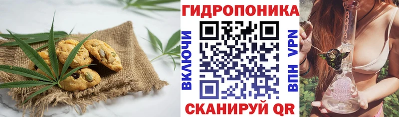 Canna-Cookies конопля  Купить закладки  Старая Русса 