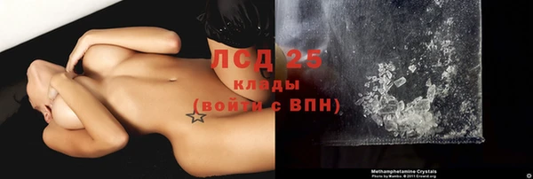 ГАЛЛЮЦИНОГЕННЫЕ ГРИБЫ Аркадак