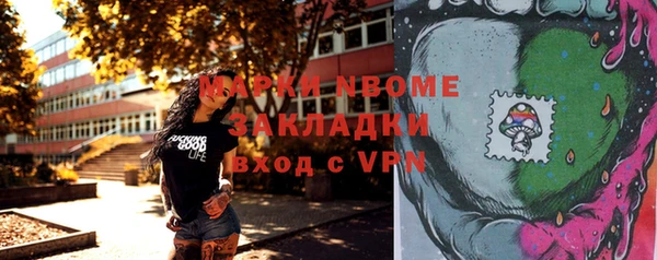 ГАЛЛЮЦИНОГЕННЫЕ ГРИБЫ Аркадак