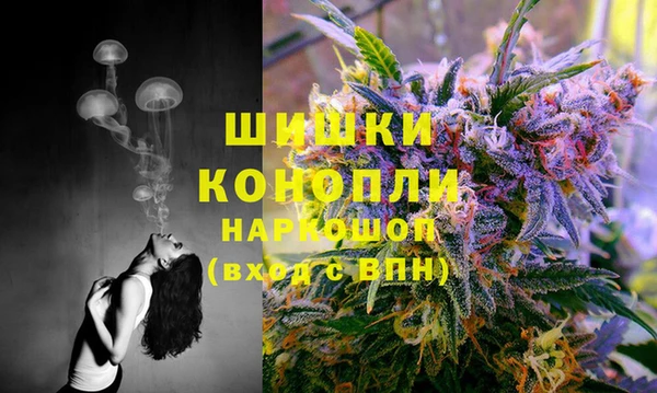 тгк Армянск