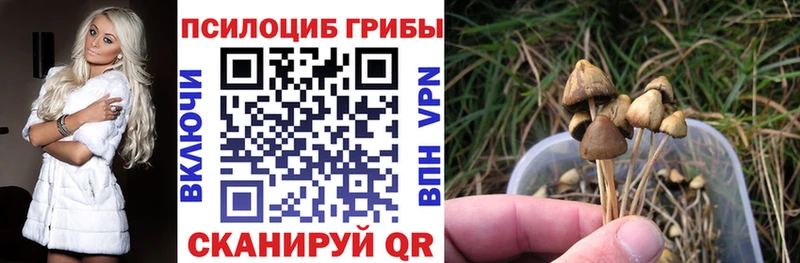 Купить закладки  Старая Русса  Галлюциногенные грибы прущие грибы 